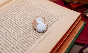 Antique Shell Cameo Brooch, Rolled Gold Claw Setting, Classical Female Portrait, Stamped R.G., Excellent