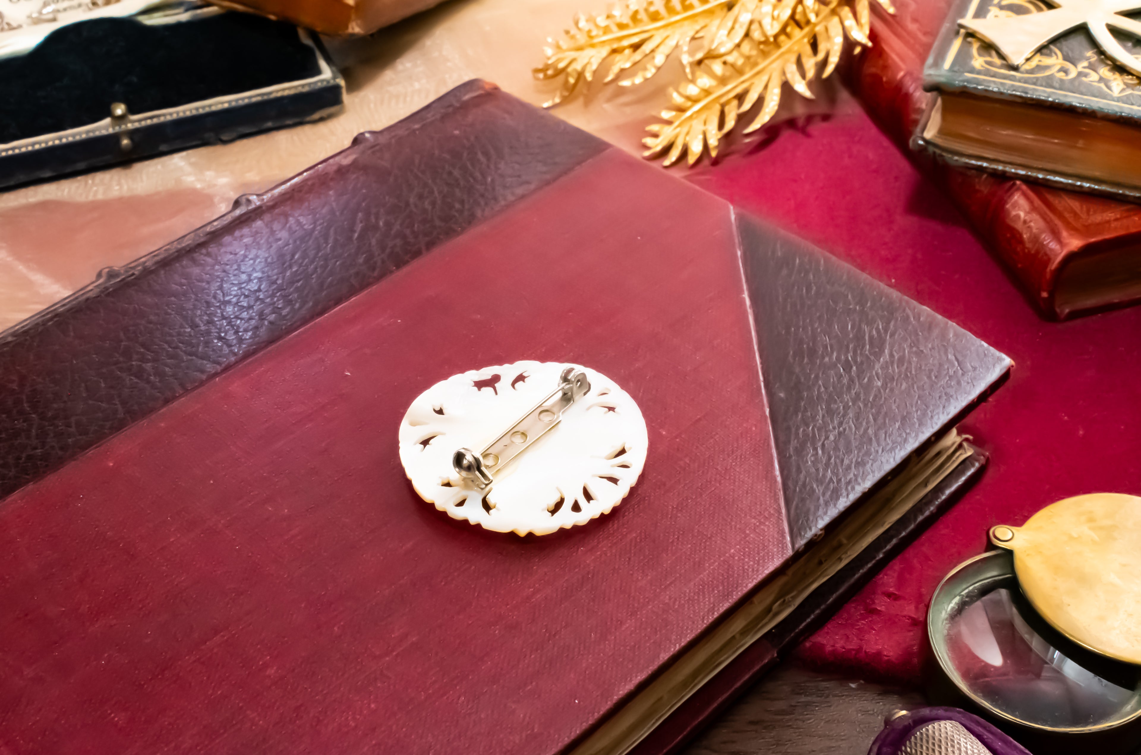 A circular white mother of pearl pin with a silver-toned safety pin back, displayed on a dark red leather-bound book surrounded by vintage books and gold decorative elements.