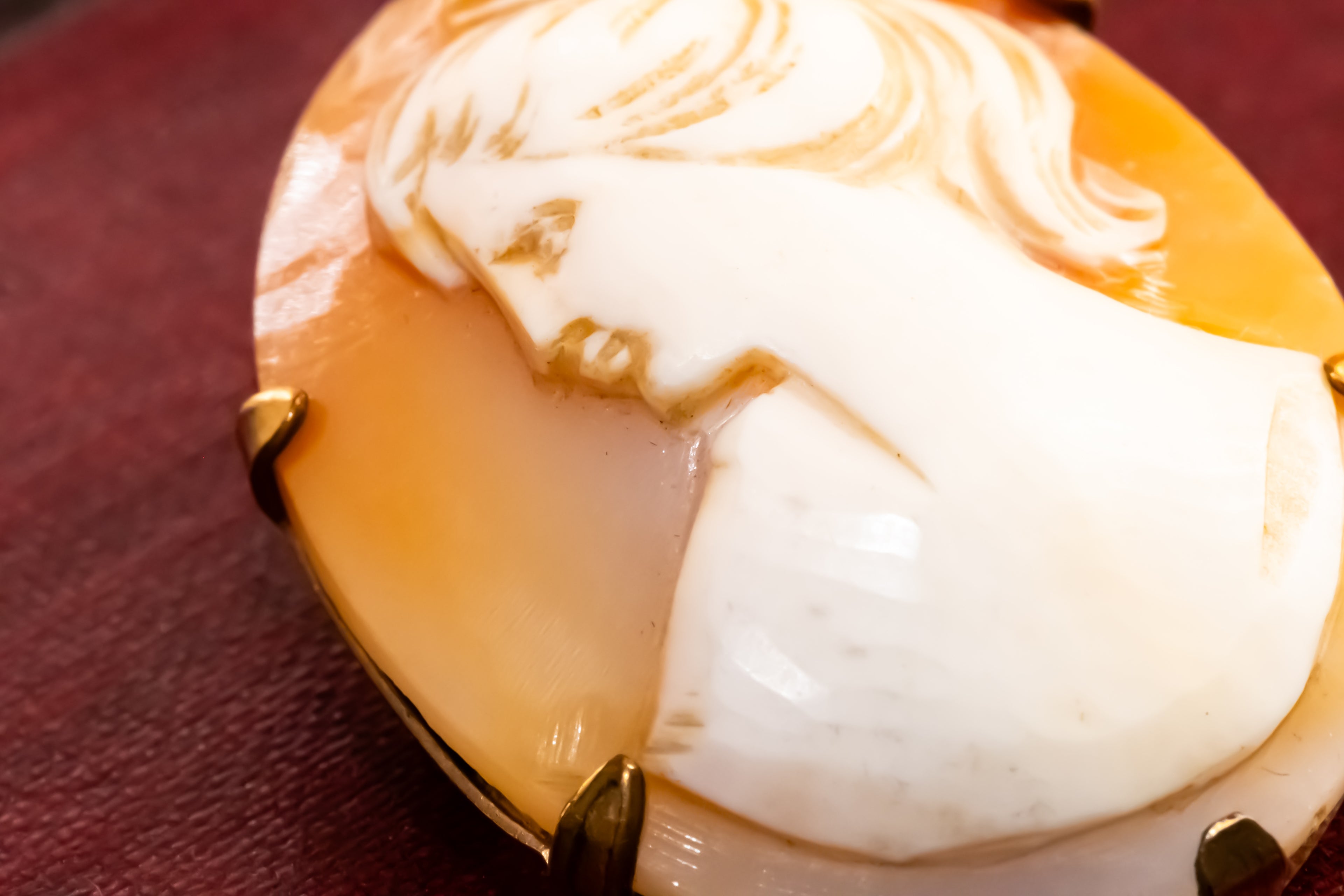 A close-up of an oval carved shell or stone brooch featuring a profile portrait in warm cream and amber tones, held in gold-toned prong settings against a dark burgundy background.