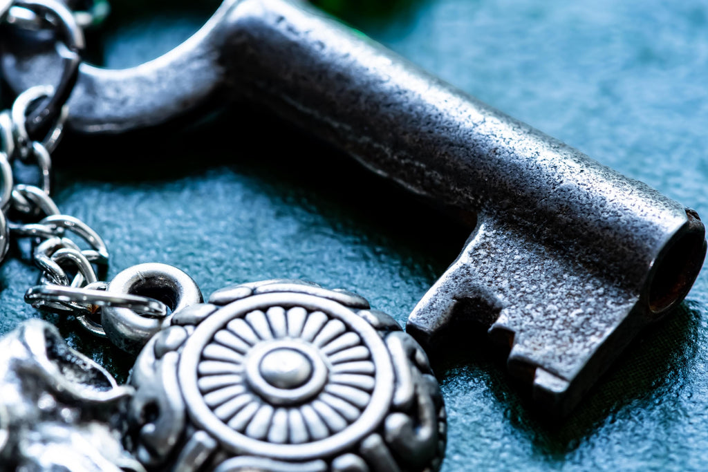 Raven Skull Journal Charm.  Antique Key Talisman, Dark Academia Bag Clip, The Talisman Archive.