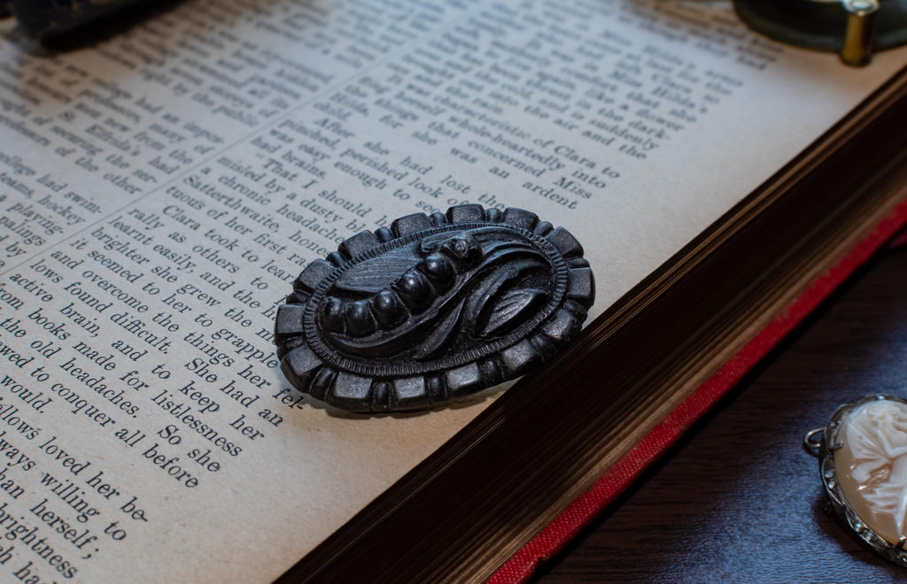 A dark carved brooch with a floral and leaf design, resting on the pages of an open vintage book.