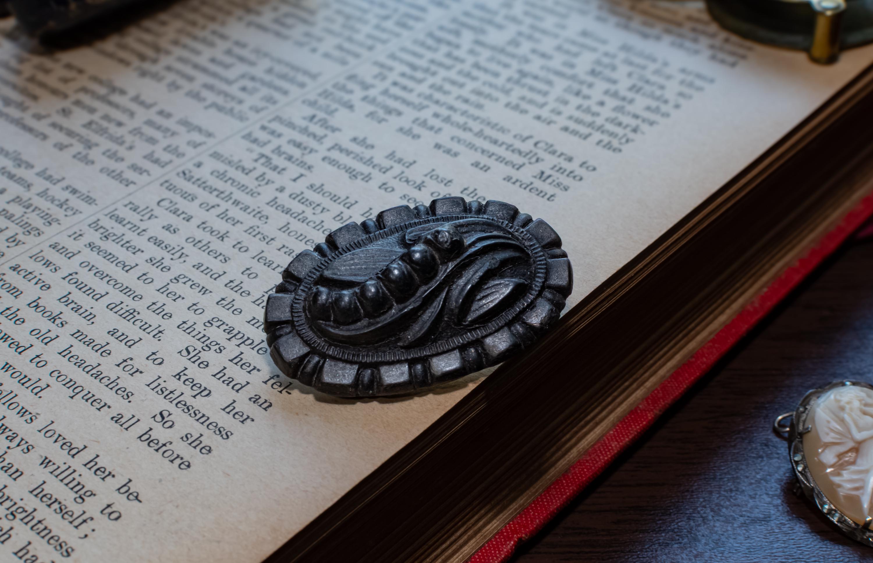 A dark carved brooch with a floral and leaf design, resting on the pages of an open vintage book.
