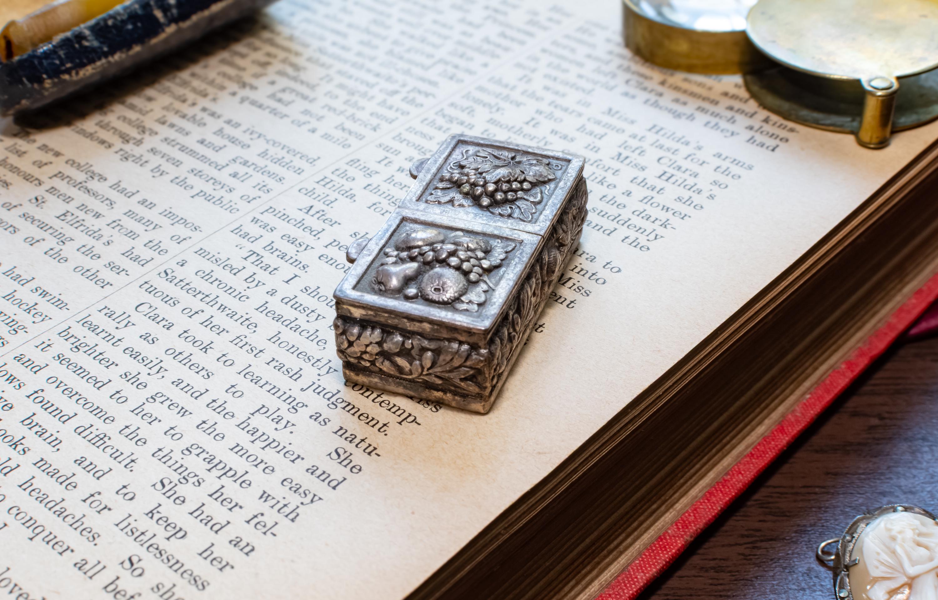 Antique Silver Double-Compartment Repousse Trinket Box, Fruit & Vine Panels, Botanical Sides, Excellent