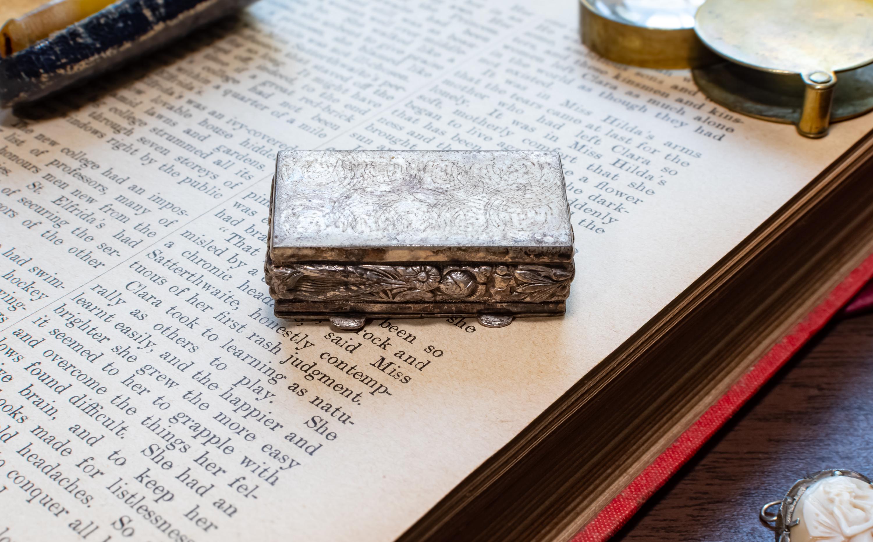 Antique Silver Double-Compartment Repousse Trinket Box, Fruit & Vine Panels, Botanical Sides, Excellent