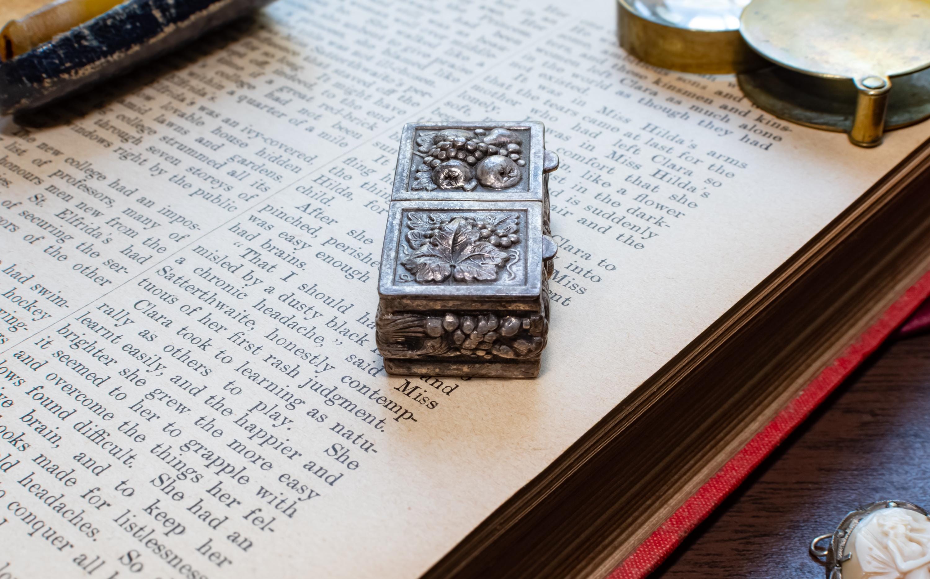Antique Silver Double-Compartment Repousse Trinket Box, Fruit & Vine Panels, Botanical Sides, Excellent