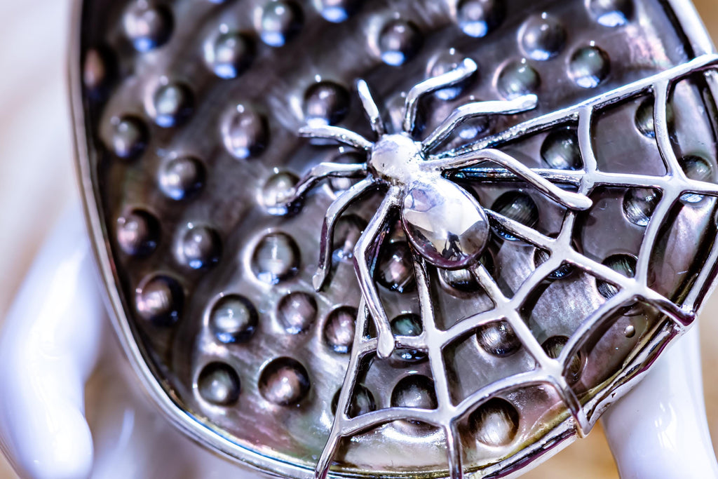 Vintage 925 Silver Black Mother of Pearl Spiderweb Necklace | Botanical Goth Talisman