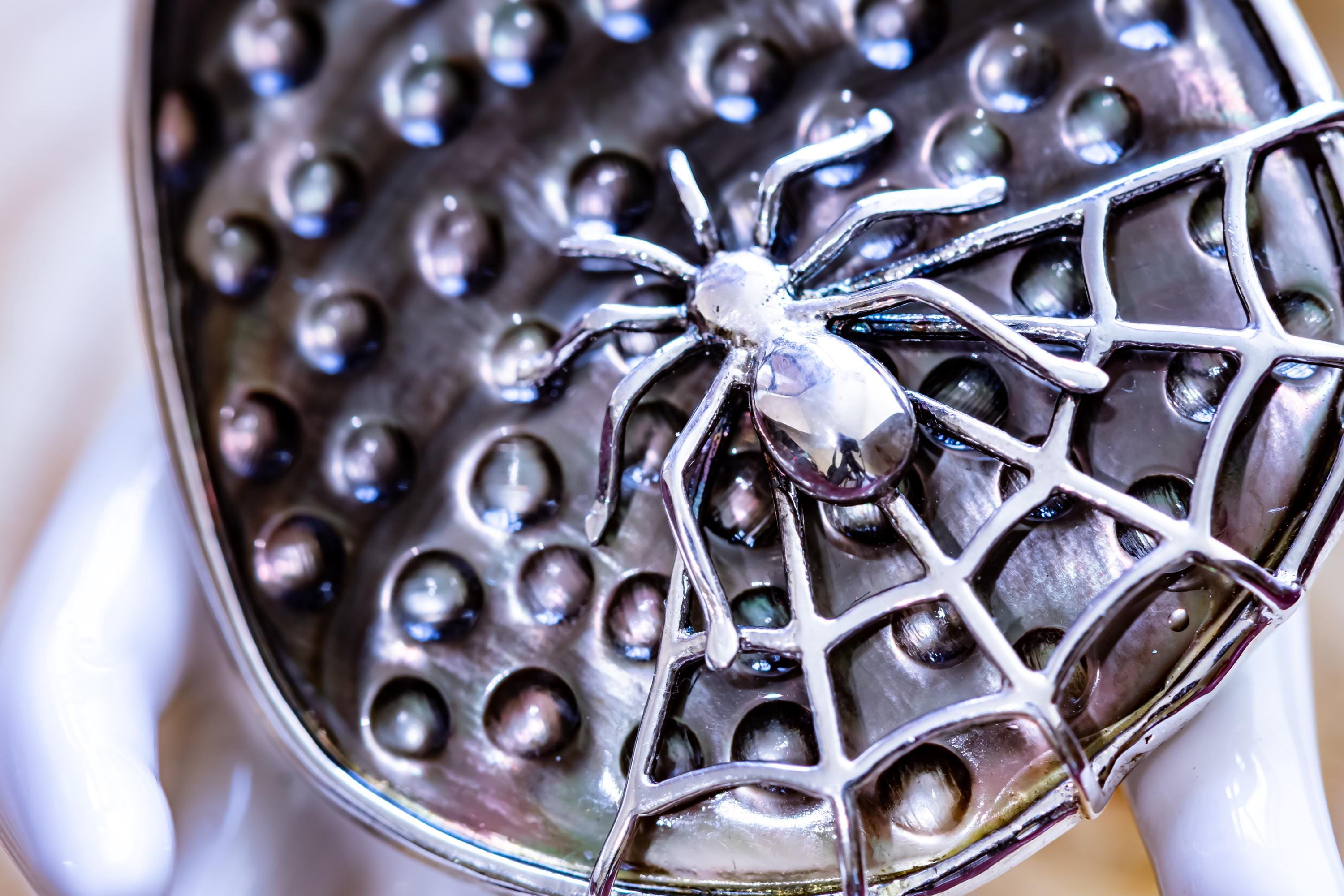 Vintage 925 Silver Black Mother of Pearl Spiderweb Necklace | Botanical Goth Talisman